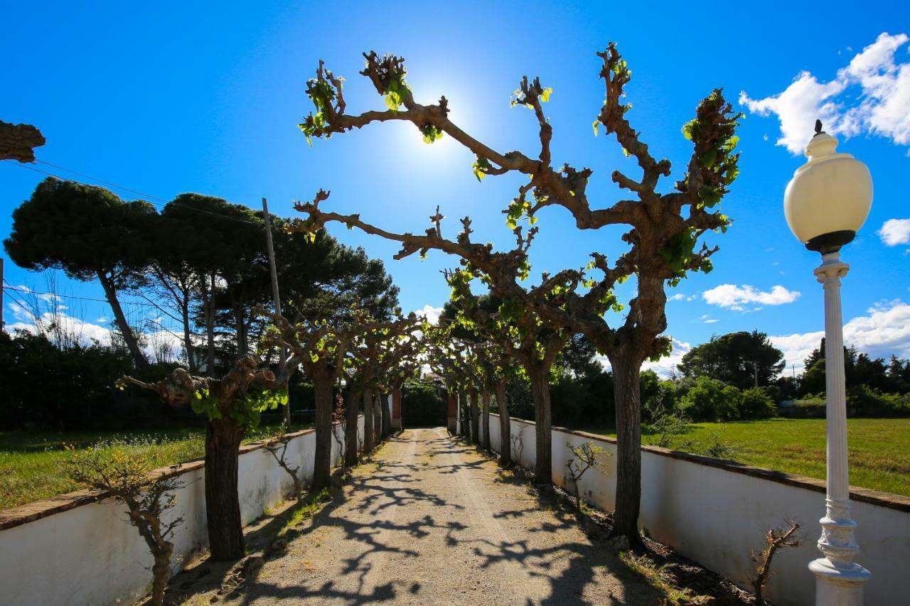 AMAZING LOCATION FOR RALLY RACC CATALONYA Colonial Planet Costa Dorada Vila Seca Exterior foto